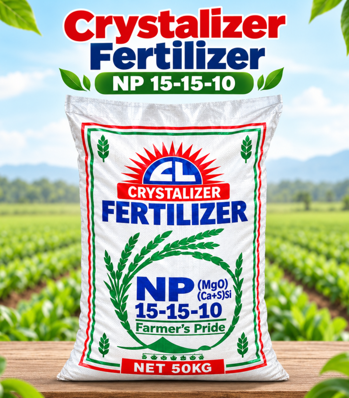 Dedicated farmers working together to bring fresh, high-quality produce from field to table.