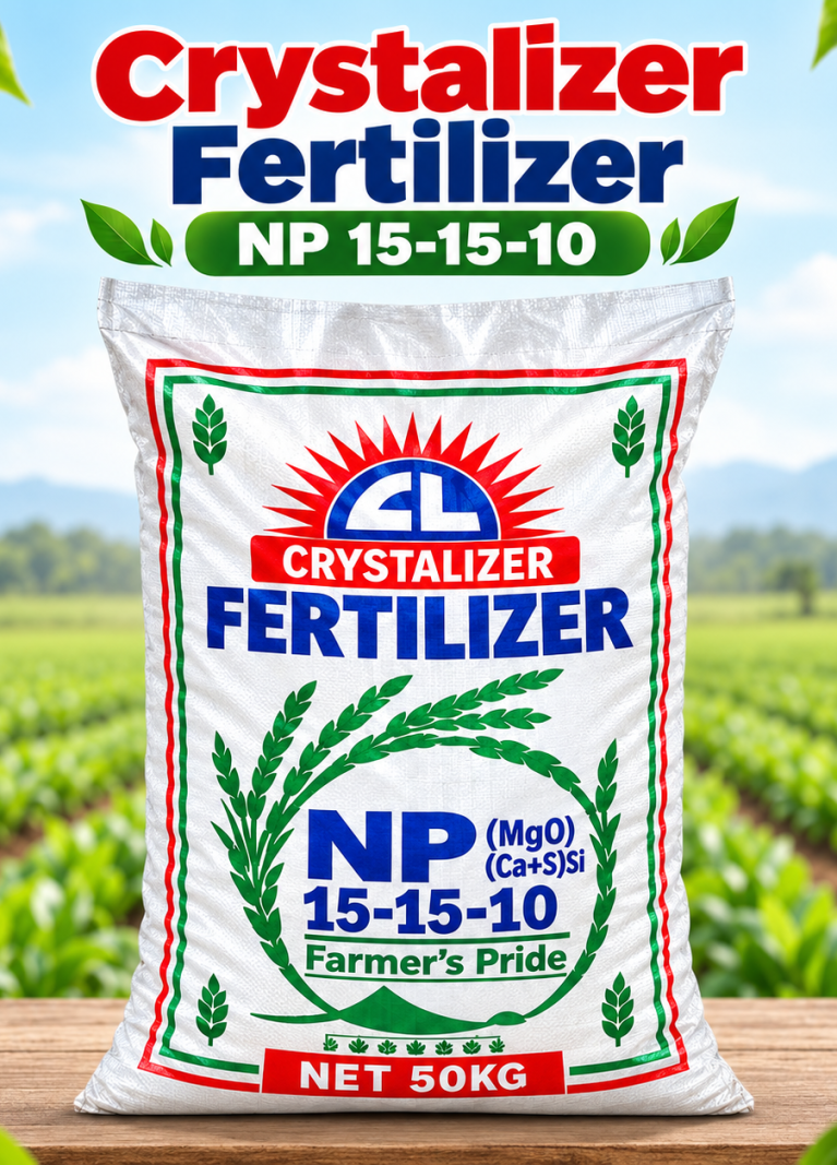 Dedicated farmers working together to bring fresh, high-quality produce from field to table.