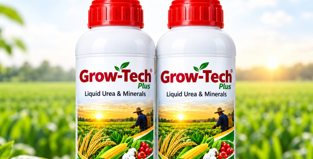 A handpicked collection of fruits and berries grown with passion and natural balance.